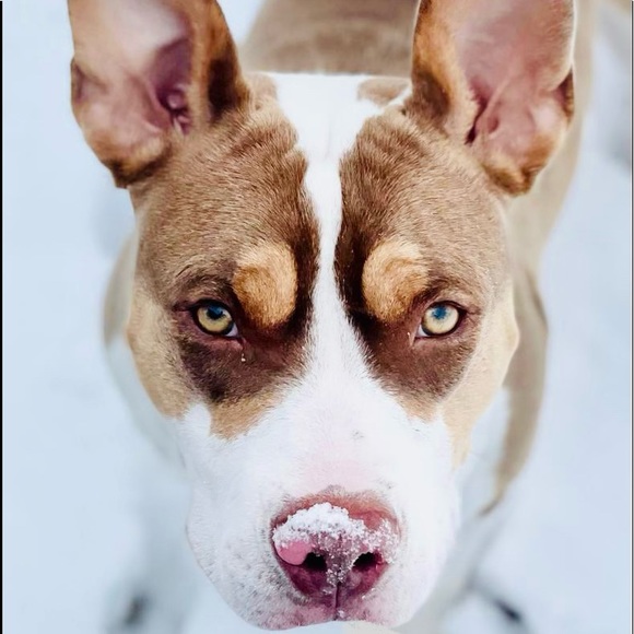 👋🏻 Hello ☀️ - Picture 2 of 10